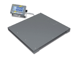 Floor Scale